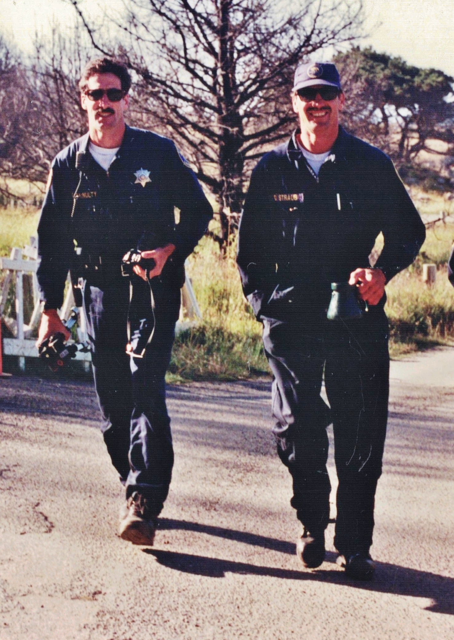 Straub and McNulty
